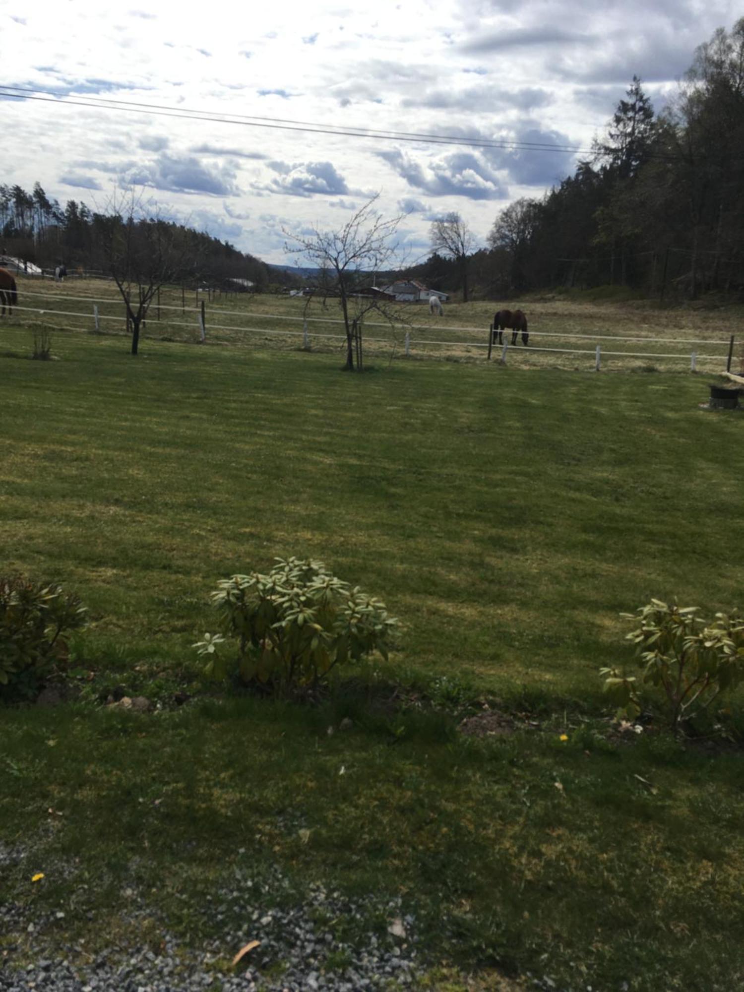 Airbnbekasberg Olofstorp Dış mekan fotoğraf