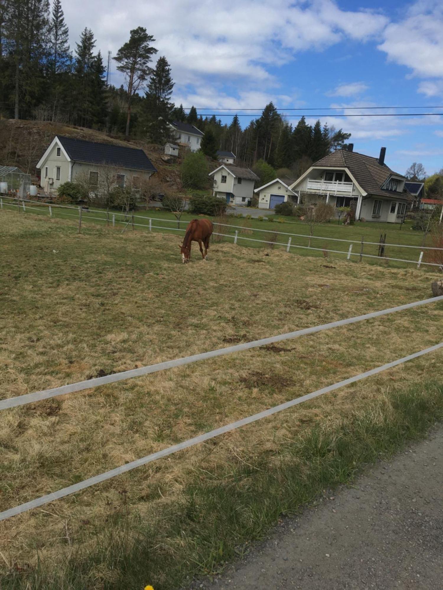 Airbnbekasberg Olofstorp Dış mekan fotoğraf