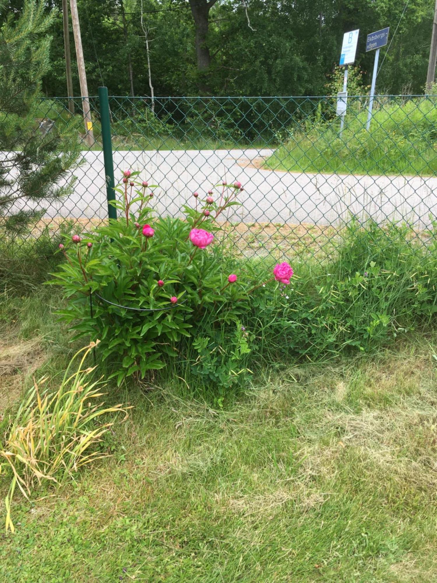 Airbnbekasberg Olofstorp Dış mekan fotoğraf