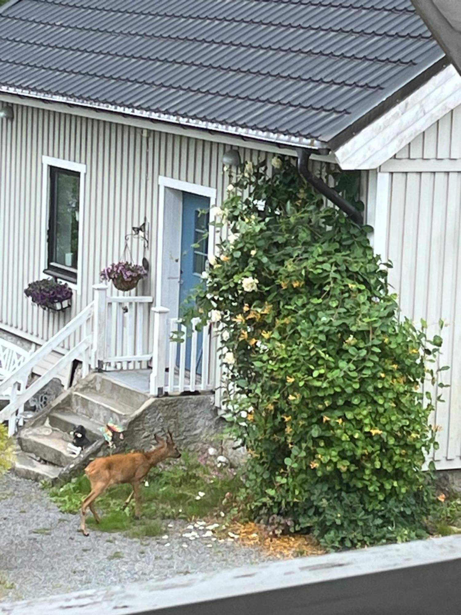 Airbnbekasberg Olofstorp Dış mekan fotoğraf